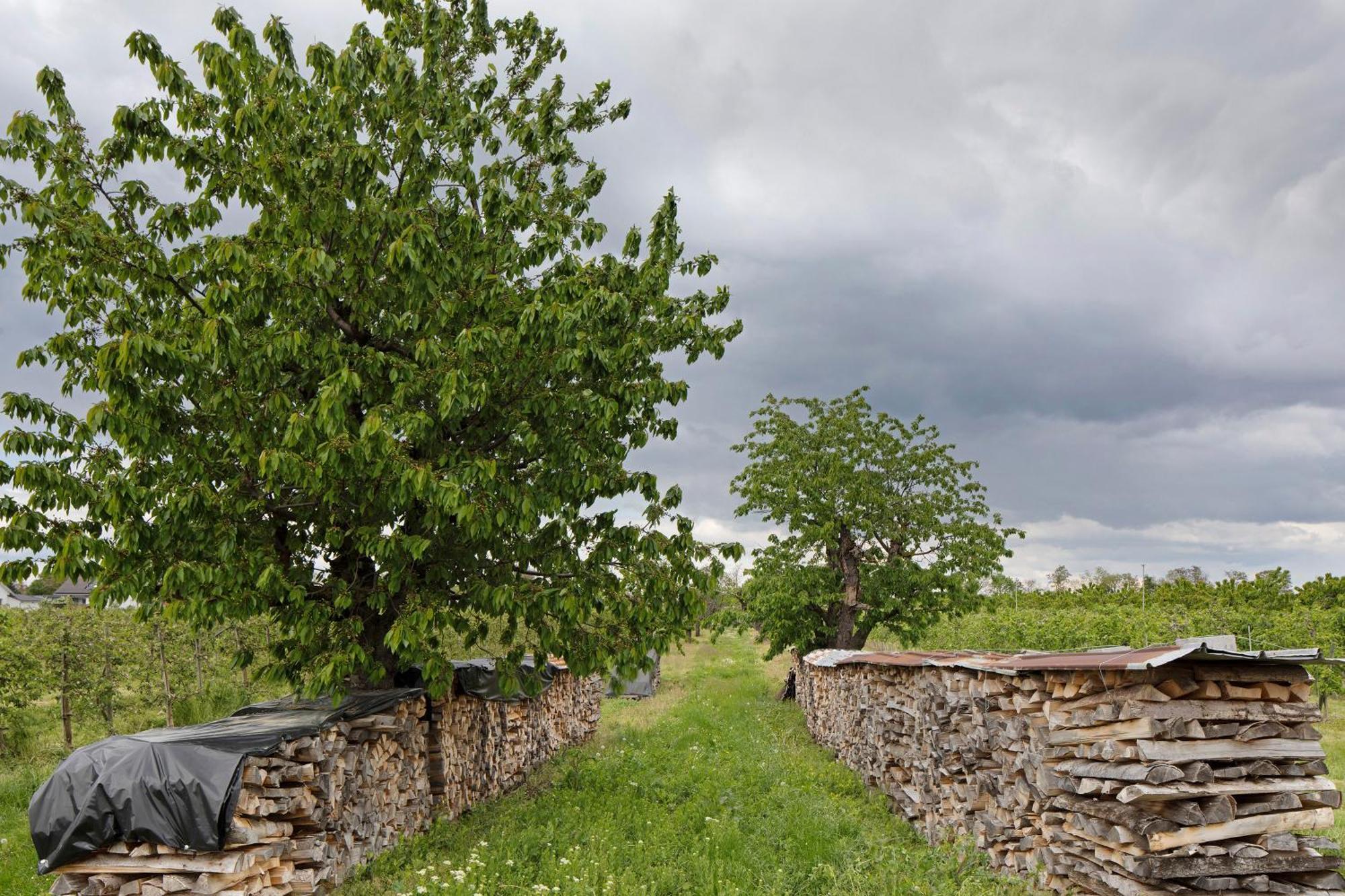 Ferienhof Schloessle Sasbach am Kaiserstuhl Exterior foto