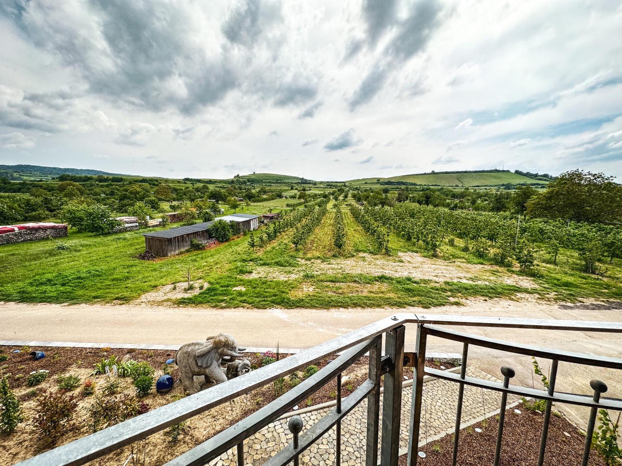 Ferienhof Schloessle Sasbach am Kaiserstuhl Exterior foto